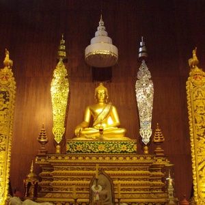 Meet your Posher, HI! I am Supat